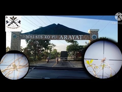 Bird Hunting PH ep26: Mt.Arayat