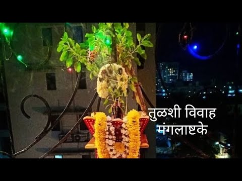 #daily#viral#video#vlog#trend#simple#तुळशीविवाहमंगलाष्टके#tulshivivahmagalashtak#विवाहगीत#मंगलाष्टके