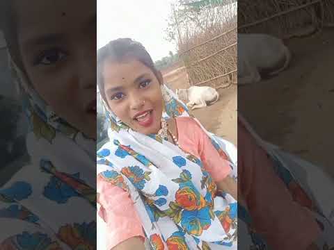 aaju baju dj vage desi model girl arjun r meda latter layo tapali trending song reels video 2024