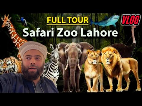 Safari Park Lahore Ki Saar | Live Zoo In Lahore | Lion Safari | Jungle Safari | Amazing Place | KXB