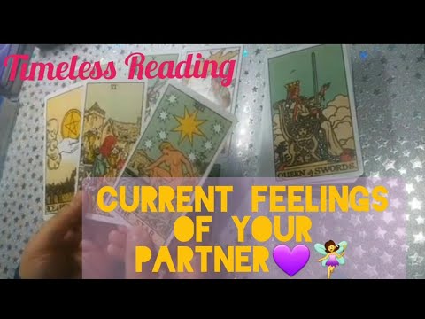 🦋Current feelings of your partner💕 and their next action💕 |Timeless Reading #hinditarot#tarotreading