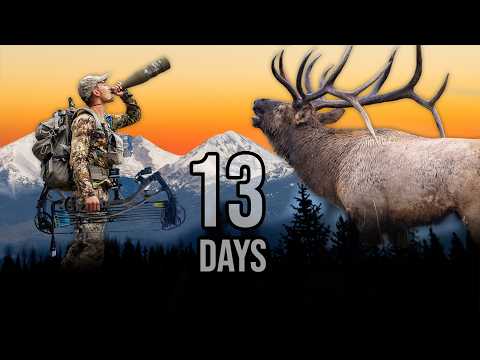 13 Day Archery Elk Hunt