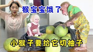 猴宝宝醒后饿了，小猴子想给它切柚子，妈妈回来吓了一跳