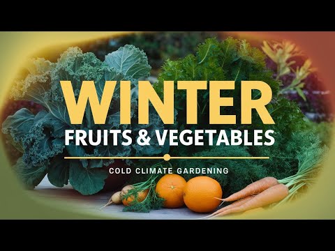 Best Fruits and Vegetables to Grow in Winter for Cold Climates