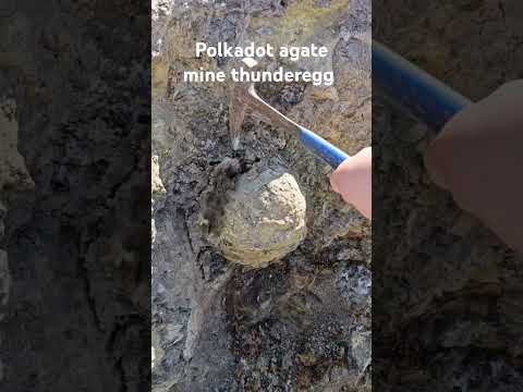 Ivayah pounding out a big thunderegg at Polkadot Agate Mine in Oregon