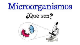 🦠 ¿Qué son los microorganismos? 🧫🔬 [Fácil y Rápido] | BIOLOGÍA |