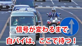 【白バイの交通取締】お得意様は隣県からのお上りさん！地元じゃ黄色線の車線変更で捕まらなくても都内は厳しいんだよ 検挙2連発