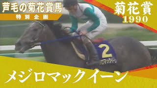 芦毛の菊花賞馬 #１【メジロマックイーン】1990年菊花賞 　実況：杉本清