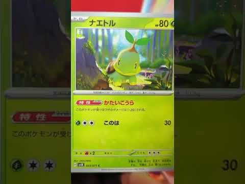 ワイルドフォース　開封 ショート版 #ポケカ #ポケモンカード#ワイルドフォース#ヒラキ ソウタロウ