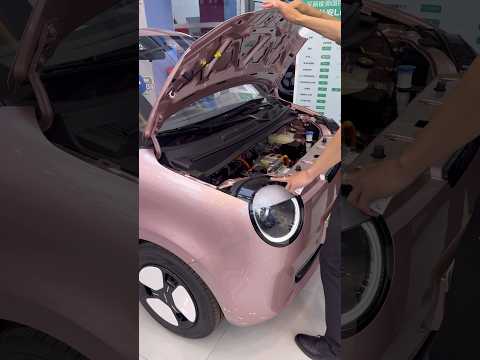 중국 천만원짜리 미니 전기차 / Changan Lumin Corn electric car