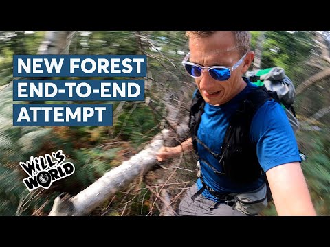 I Tried To Run Across The New Forest National Park in 24 Hours – Will's World