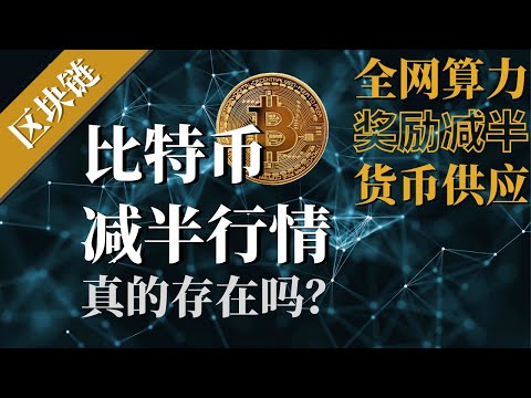 比特币运行逻辑|什么是奖励减半机制？减半行情真的存在吗？【区块链】为什么比特币不会超发、永远挖不完？认识比特币的价值！