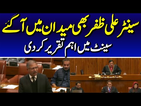 PTI Senator Syed Ali Zafar Speech in Senate, Islamabad