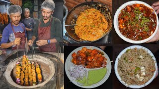 Rohini Best Garlic Chowmein, Fire Paneer, Tandoori Chaap, Lemon Tikka & More || Delhi Street Food