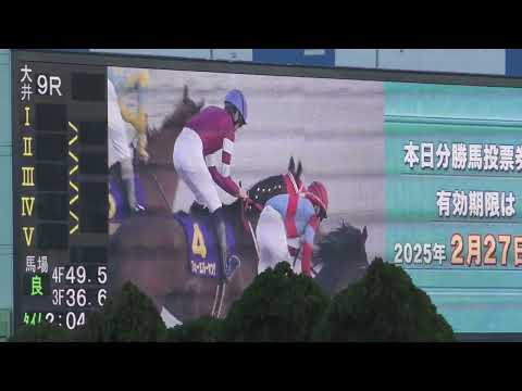 今年ラストのGl競走「第70回東京大賞典 国際交流 大井2000m」は単勝1.3倍の圧倒的1番人気で国内無敗のJRA④フォーエバーヤング（牡3 父リアルスティール 矢作芳 坂井瑠56）がGl級・3勝目