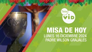 Misa de hoy 🎄⛪ Lunes 16 Diciembre de 2024, Padre Wilson Grajales #TeleVID #MisaDeHoy #Misa