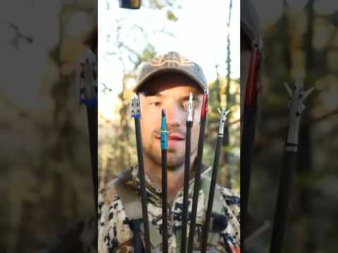 REAL WORLD BROADHEAD TEST - (PREVIEW)