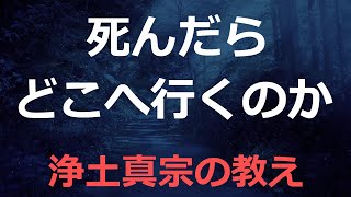 死後はどうなるか【親鸞聖人の答え】