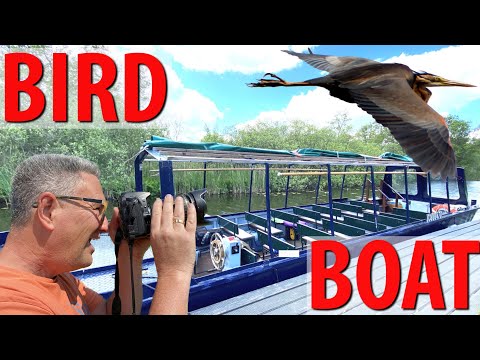 Amsterdam Nature Boat Tour