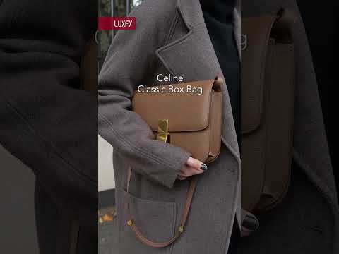 Top 6 Celine Bags to Buy in 2025