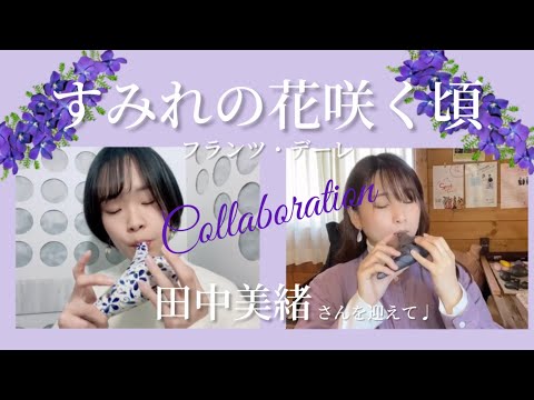 【オカリナ】すみれの花咲く頃　オカリナ二重奏で演奏しました♩【コラボ】