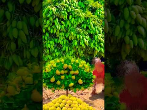 Growing mango tree from colgate and soil #shorts