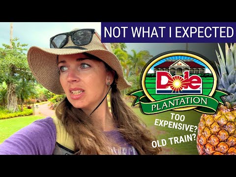 Dole Plantation, Hawaii | Worth a visit? | FULL GUIDE