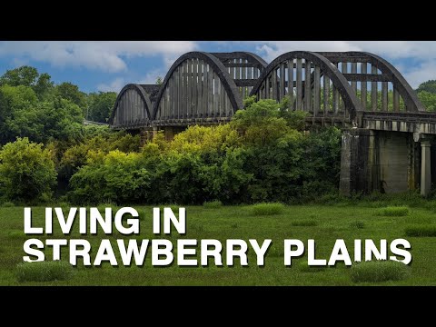 Living in Strawberry Plains Tennessee