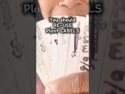 Here's how to erase plastic Plant Labels