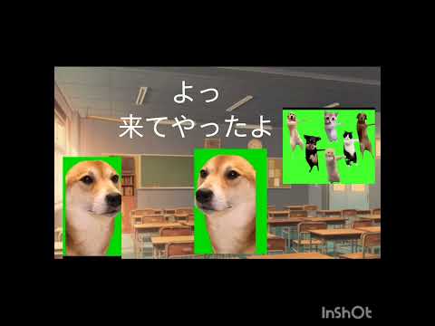 犬ミーム