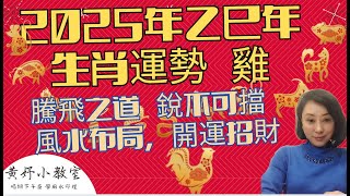 【2025年生肖運勢-雞】：屬雞者的事業騰飛之道：銳不可擋的2025，避開官非小人，自我突破，風水開運招財秘笈，守護財運與福氣！