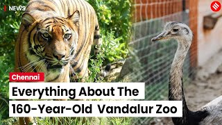 Everything About The 160-Year-Old  Vandalur Zoo | Arignar Anna Zoological Park