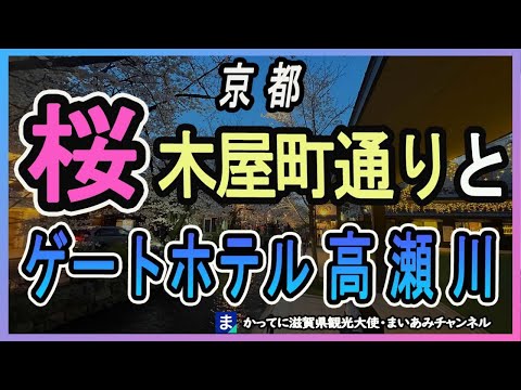 【桜2023】京都・木屋町通の桜とゲートホテル高瀬川、木屋町ゴールデン酒場