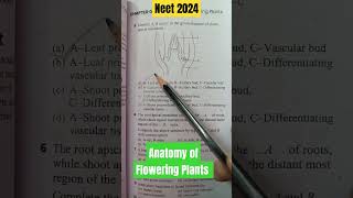 #neet2024 #anatomyoffloweringplants #neetstrategy