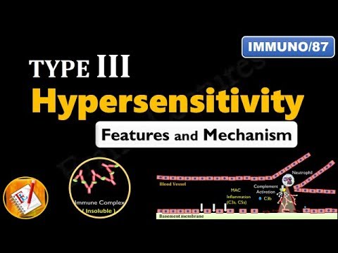 Type III Hypersensitivity Reactions: Main features and Mechanism (FL-Immuno/87)