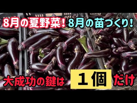 農業は時にシビアに時に適当に。出来ない理由はもしかしたら簡単な話しかもしれない。