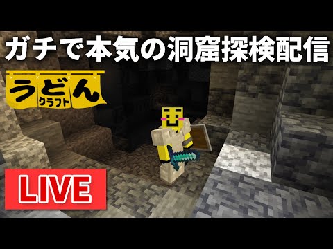 🔴【マイクラ裏作業】夏祭り帰りで気分が良い男の本気の洞窟湧き潰し配信【ウドンクラフト2】