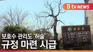 [경기][기획2] 보호수 관리도 '허술'...규정 마련 시급