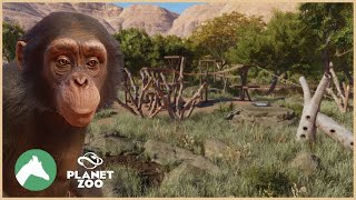 Chimpanzee Indoor & Outdoor Habitat | Desert Adventure Park | Planet Zoo