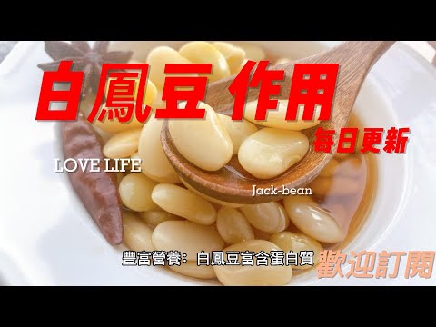 EP121 白鳳豆Jack bean 懷念的皇帝豆的好處與作用 健康 素食 養生 天然 食療 原形食