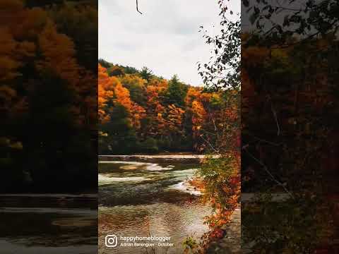 whimsical! upstate New York Letchworth state park.#travelvlog #trendingshorts #viralvideo