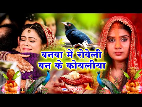 बेटी विवाह गीत || दुलारी धिया पापा पर्वत फेंकला हो || Anshu Priya Shadi Vivah Geet || Beti Vidai