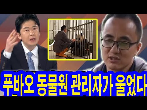 MBN뉴스파이터: 푸바오 사육사는 울면서 말했다 "푸바오와 함께 일하는 게 너무 힘들다...사퇴하겠다"!! 김명준 앵커 "그 이유를 알겠다" #푸바오 #강바오