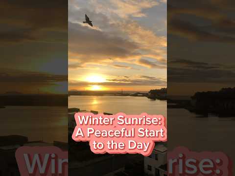 Winter Sunrise: Nature’s Quiet Masterpiece #shorts #sunrise