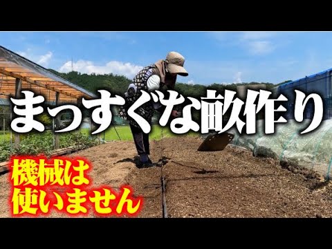 【７９歳が畝立て用の機械を使わずにまっすぐできれいな畝を作ります】【畝立て】【4つ鍬】【ジョレン】【マイカ線】