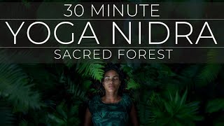 30 Minute Yoga Nidra | Peaceful Sacred Forest