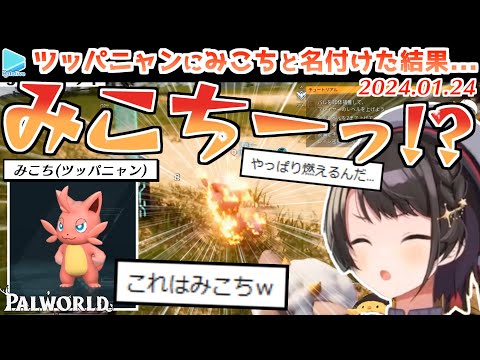 ホロ鯖パルワールド･本日のここすき【2024.01.24/ホロライブ切り抜き】