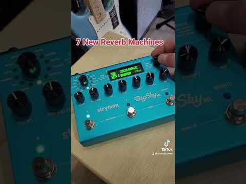 Strymon Big Sky MX #strymon #strymonengineering #guitar #guitarpedal #bigskymx #ytshorts #yt