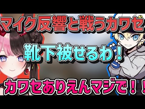 【ぶいすぽ】マイクの反響と戦ってるカワセに笑いが止まらんくなるひなーの「ぶいすぽ/切り抜き」