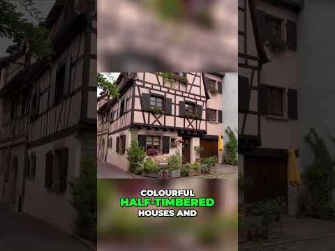 Discover Colmar  The Hidden Gem of Alsace!